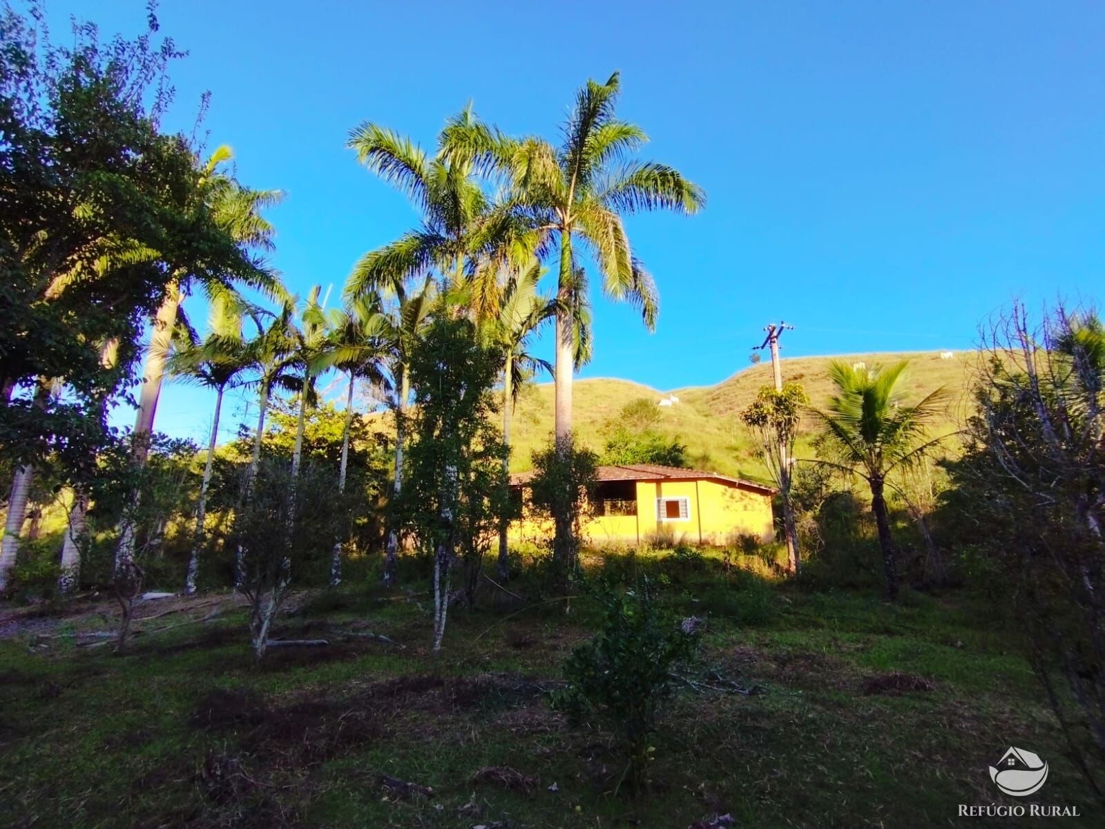 Fazenda à venda com 7 quartos, 2710400m² - Foto 1