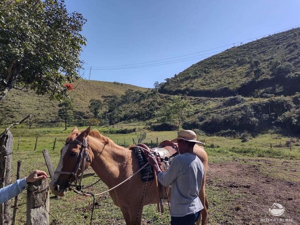 Fazenda à venda com 7 quartos, 2710400m² - Foto 23
