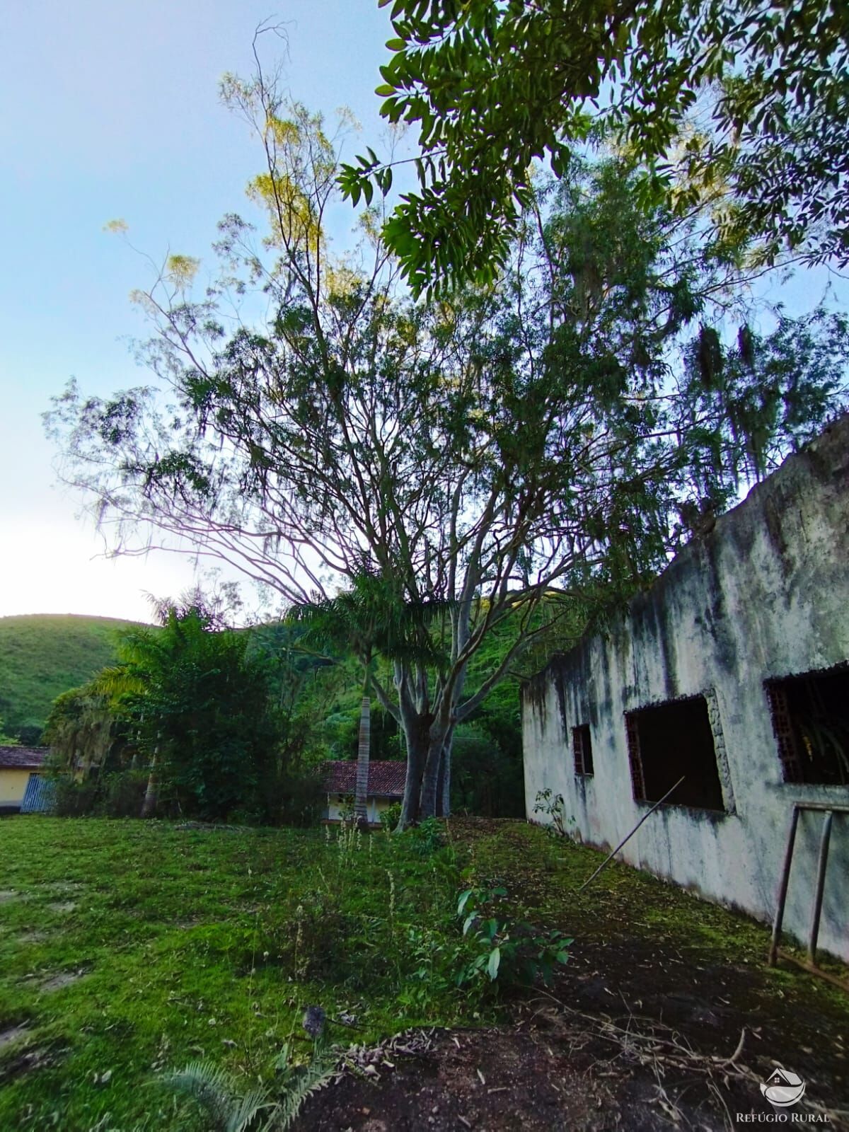 Fazenda à venda com 7 quartos, 2710400m² - Foto 25