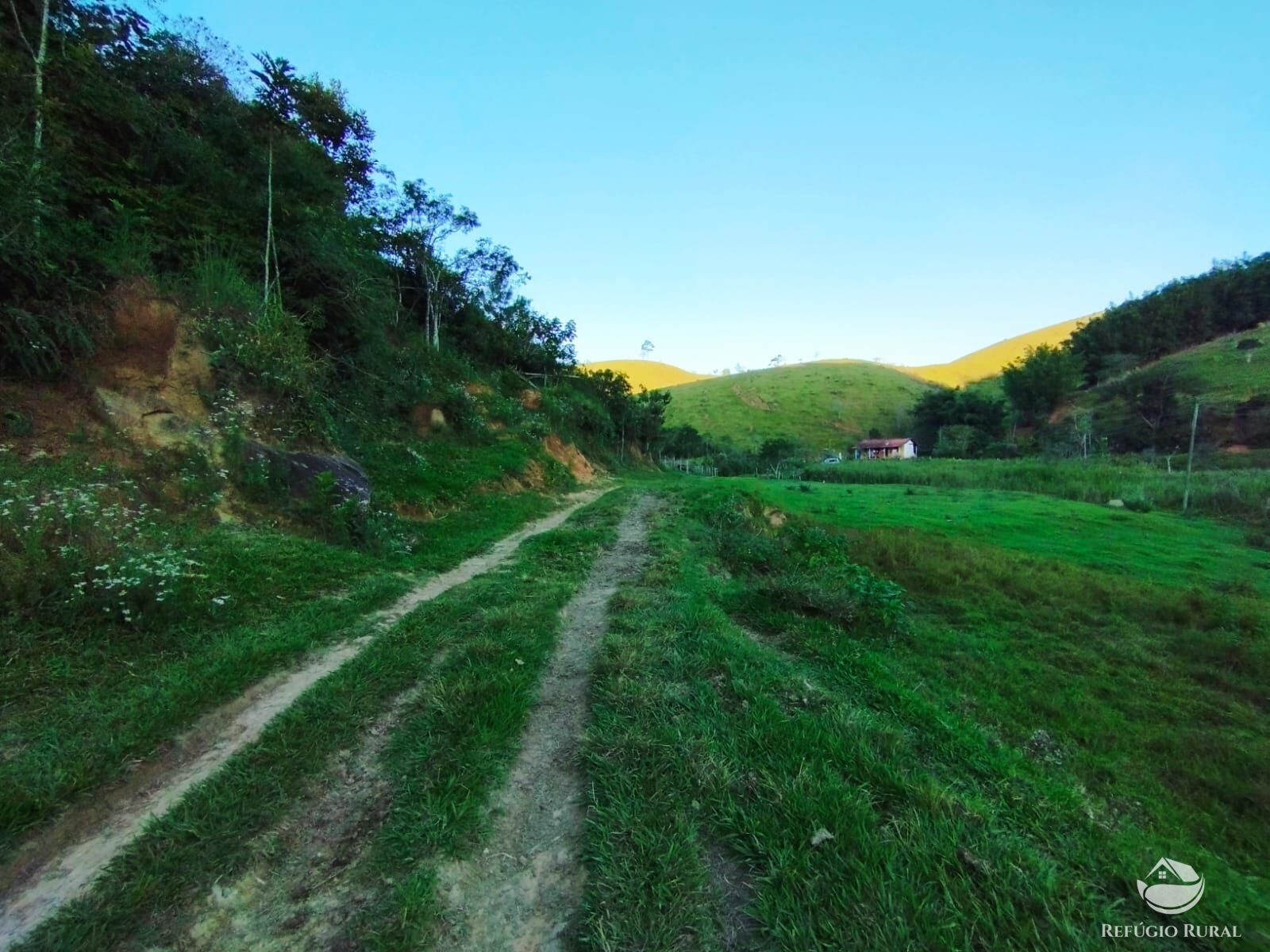 Fazenda à venda com 7 quartos, 2710400m² - Foto 34
