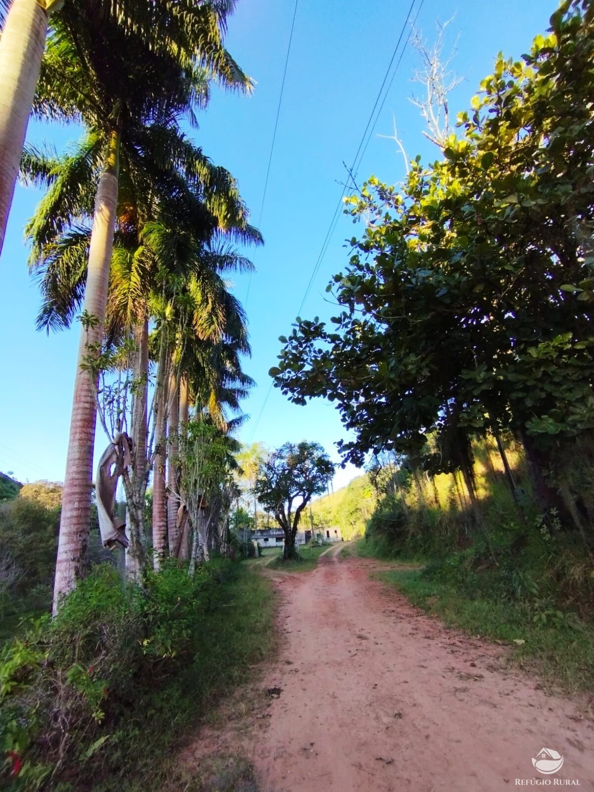 Fazenda à venda com 7 quartos, 2710400m² - Foto 49