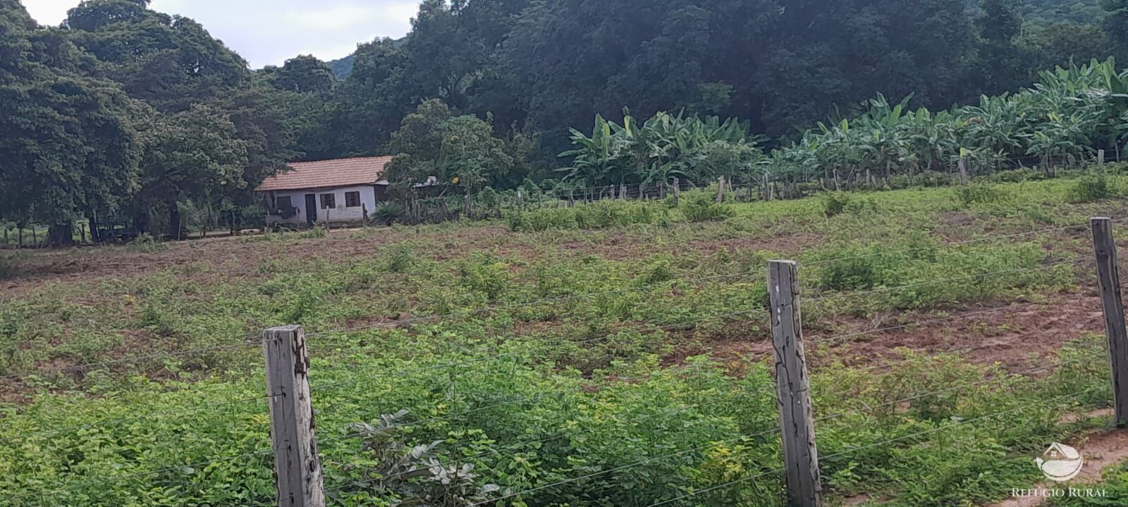 Fazenda à venda com 2 quartos, 11616000m² - Foto 1