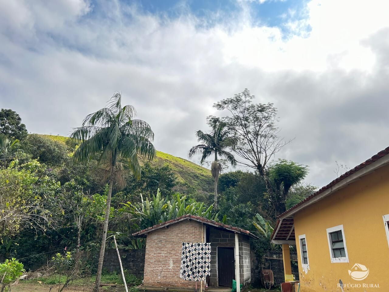 Fazenda à venda com 4 quartos, 1000m² - Foto 6