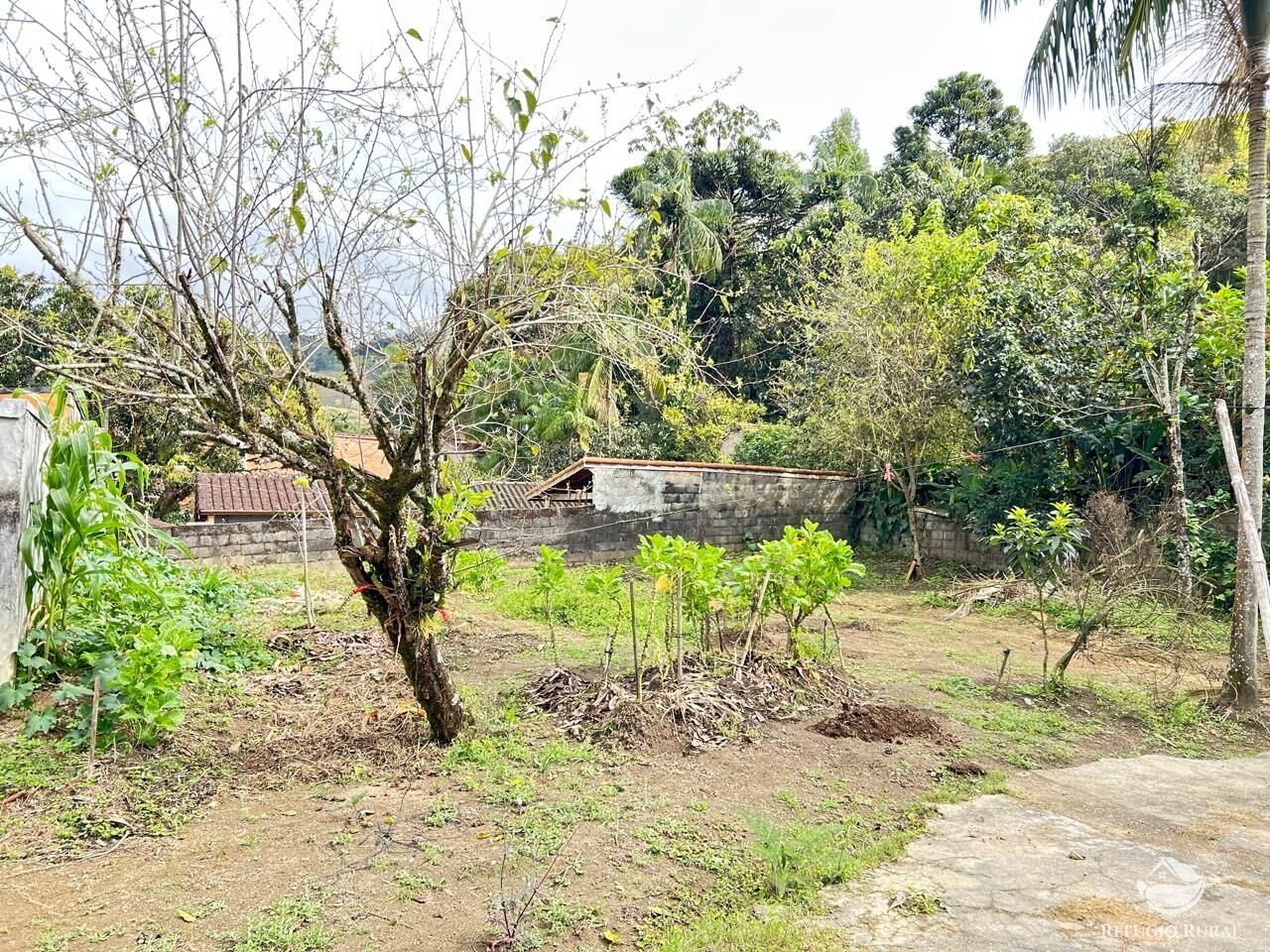 Fazenda à venda com 4 quartos, 1000m² - Foto 7