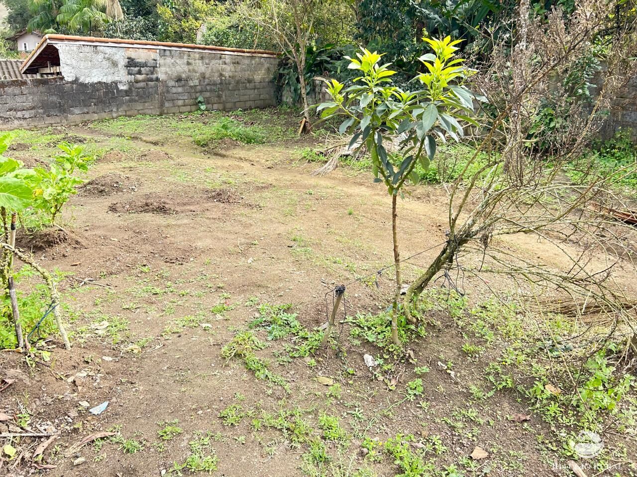 Fazenda à venda com 4 quartos, 1000m² - Foto 12