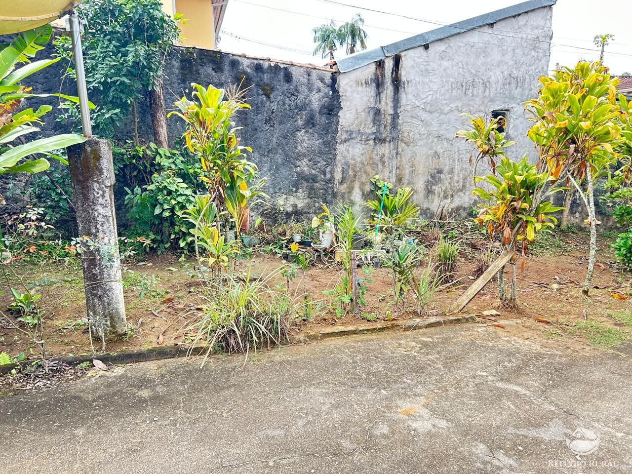 Fazenda à venda com 4 quartos, 1000m² - Foto 9