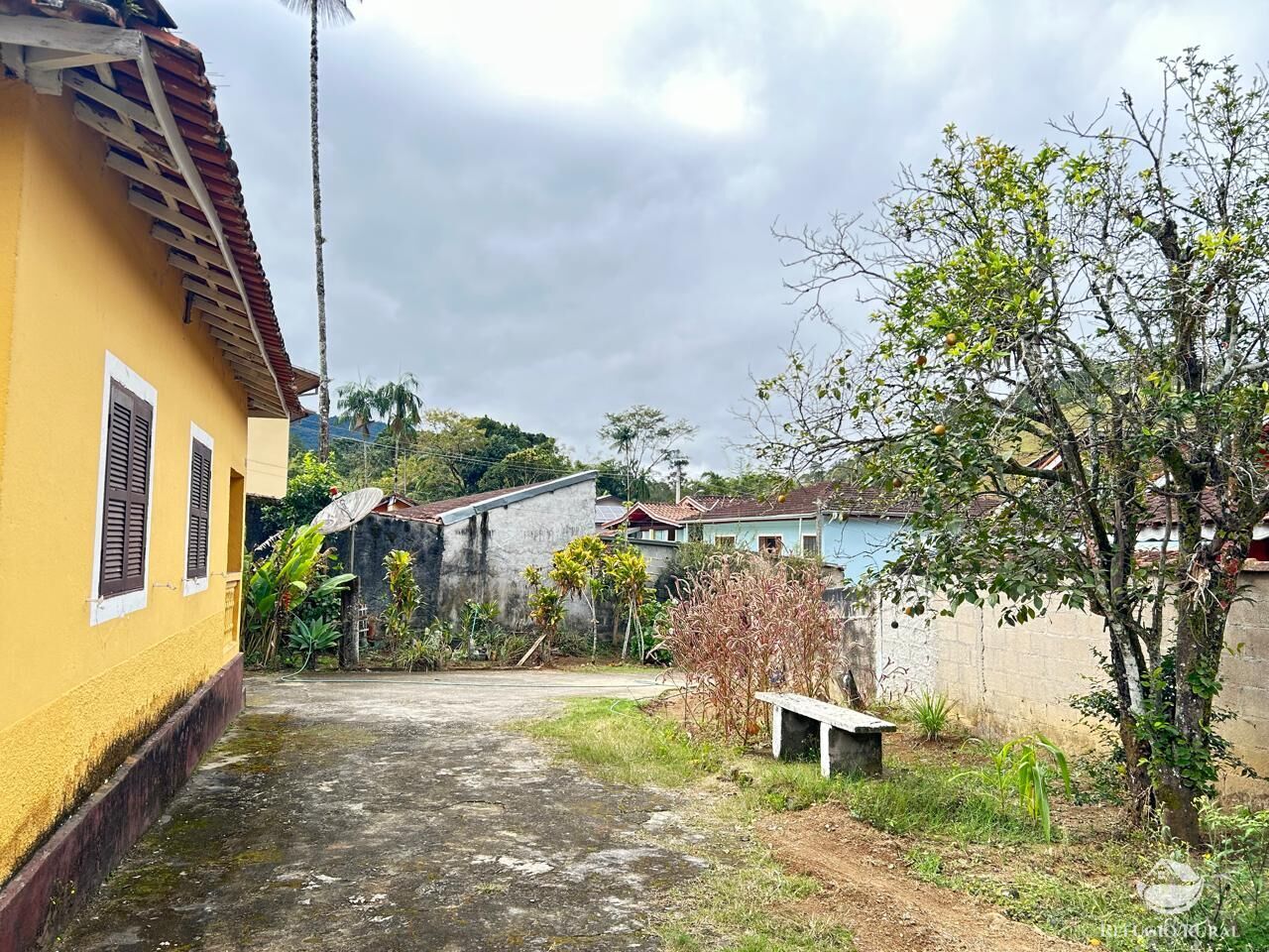 Fazenda à venda com 4 quartos, 1000m² - Foto 4