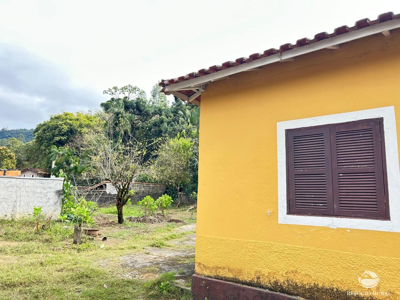 Fazenda à venda com 4 quartos, 1000m² - Foto 5