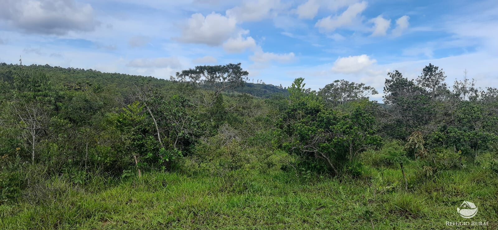 Fazenda à venda com 1 quarto, 1700000m² - Foto 2