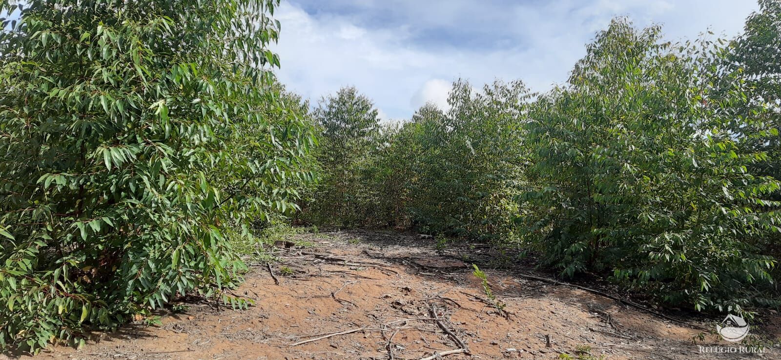 Fazenda à venda com 1 quarto, 1700000m² - Foto 9