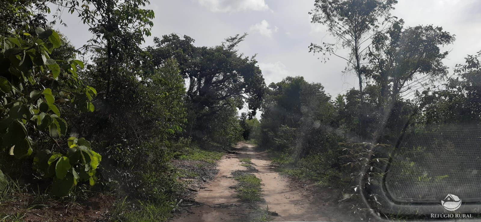 Fazenda à venda com 1 quarto, 1700000m² - Foto 10