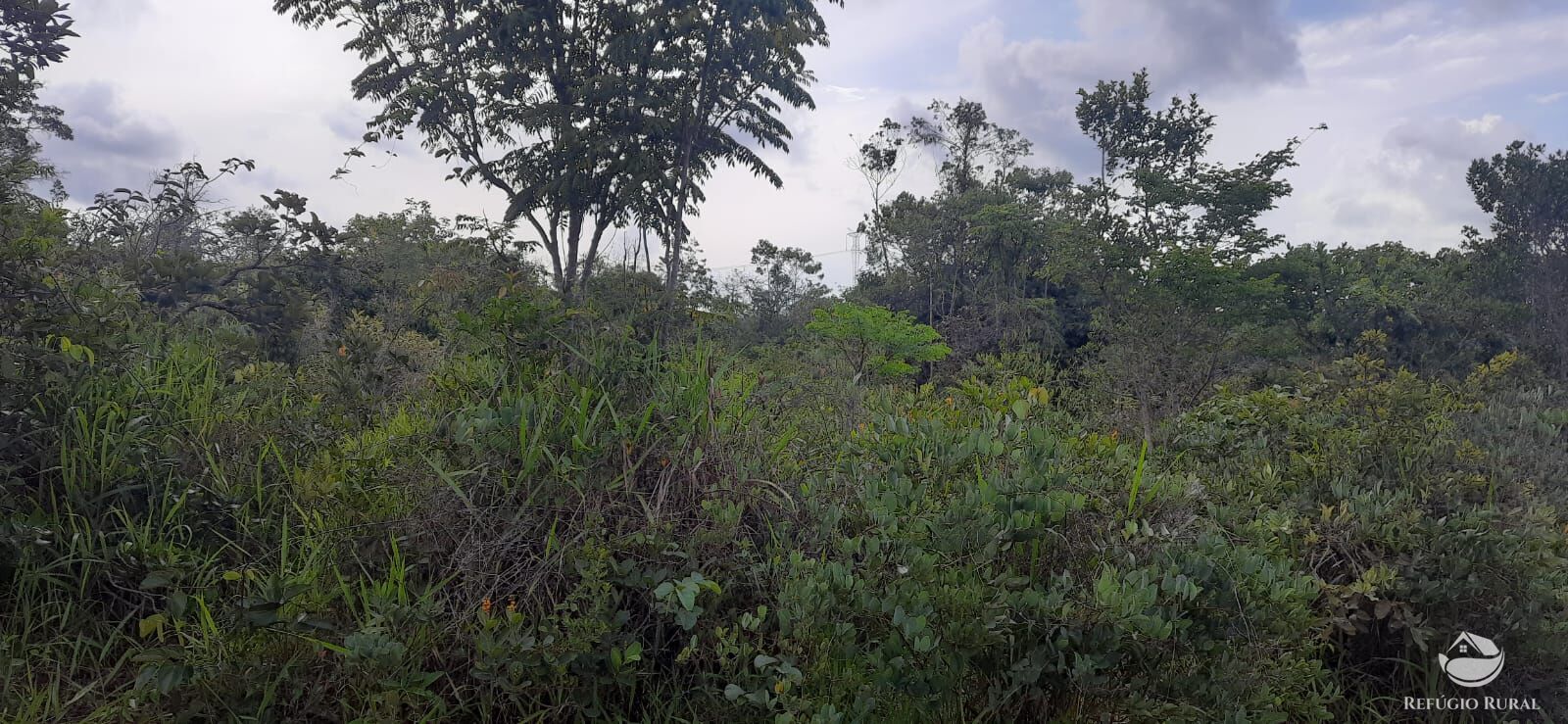 Fazenda à venda com 1 quarto, 1700000m² - Foto 7