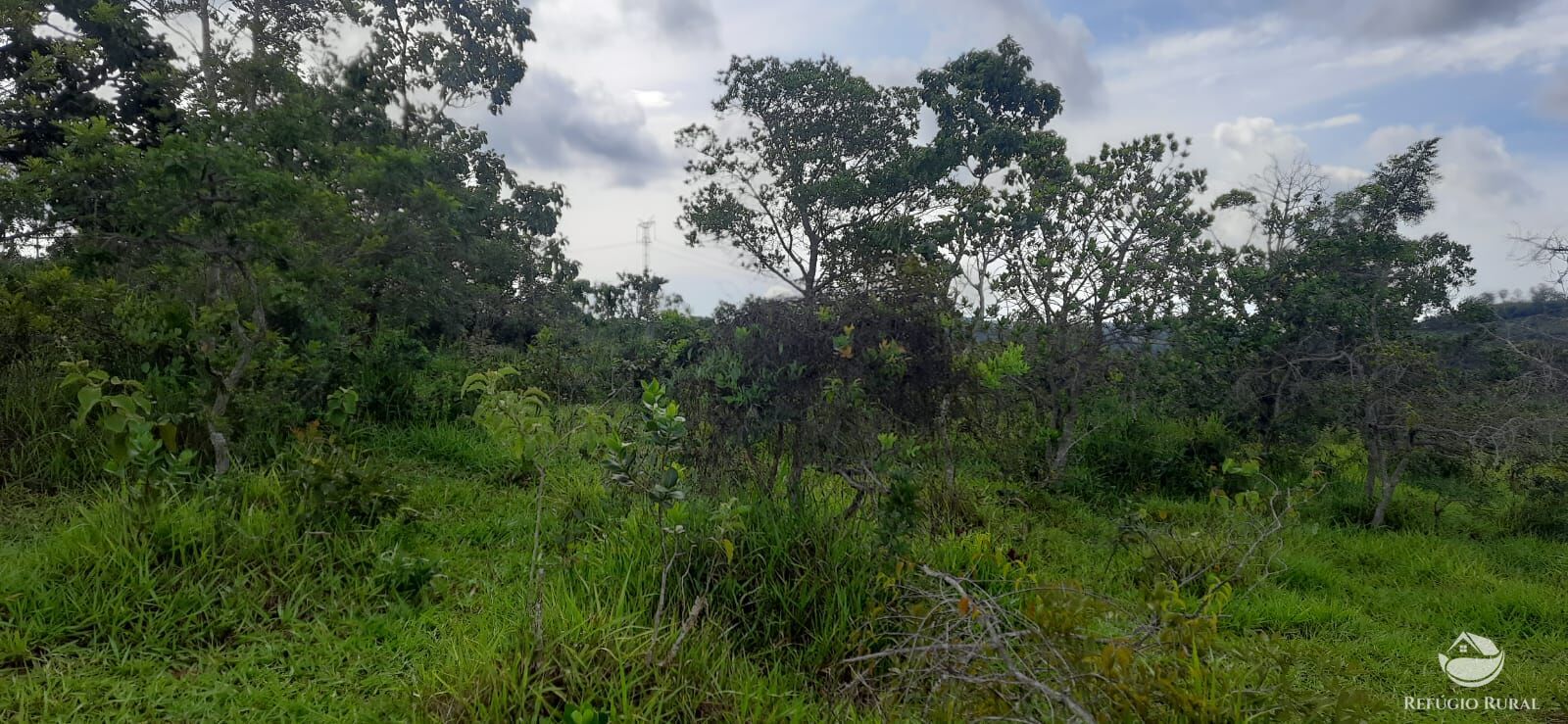 Fazenda à venda com 1 quarto, 1700000m² - Foto 6