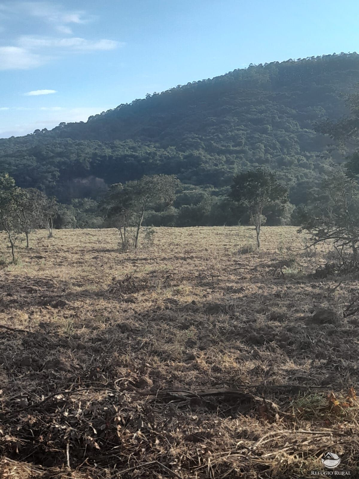 Fazenda à venda com 1 quarto, 1700000m² - Foto 3