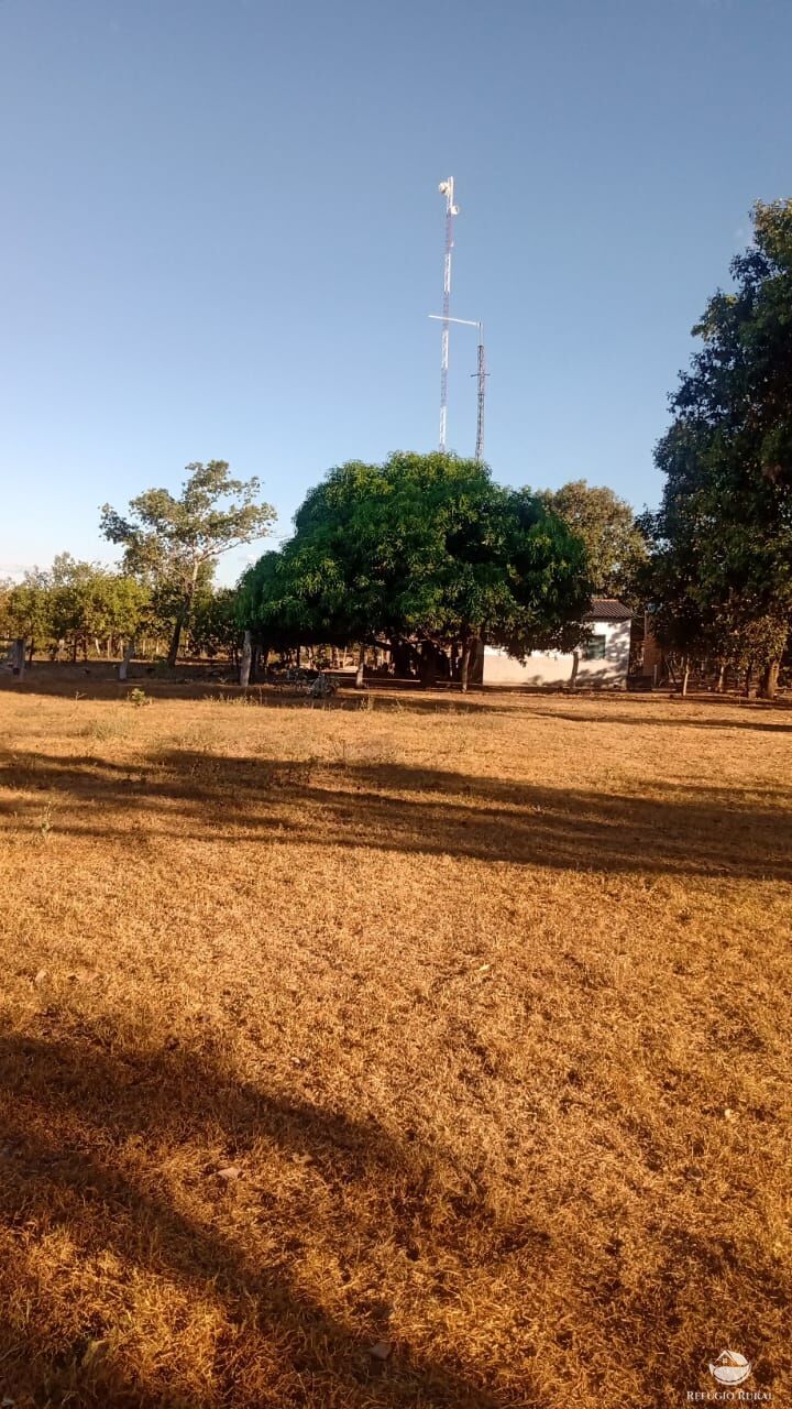 Fazenda à venda com 5 quartos, 50000000m² - Foto 3