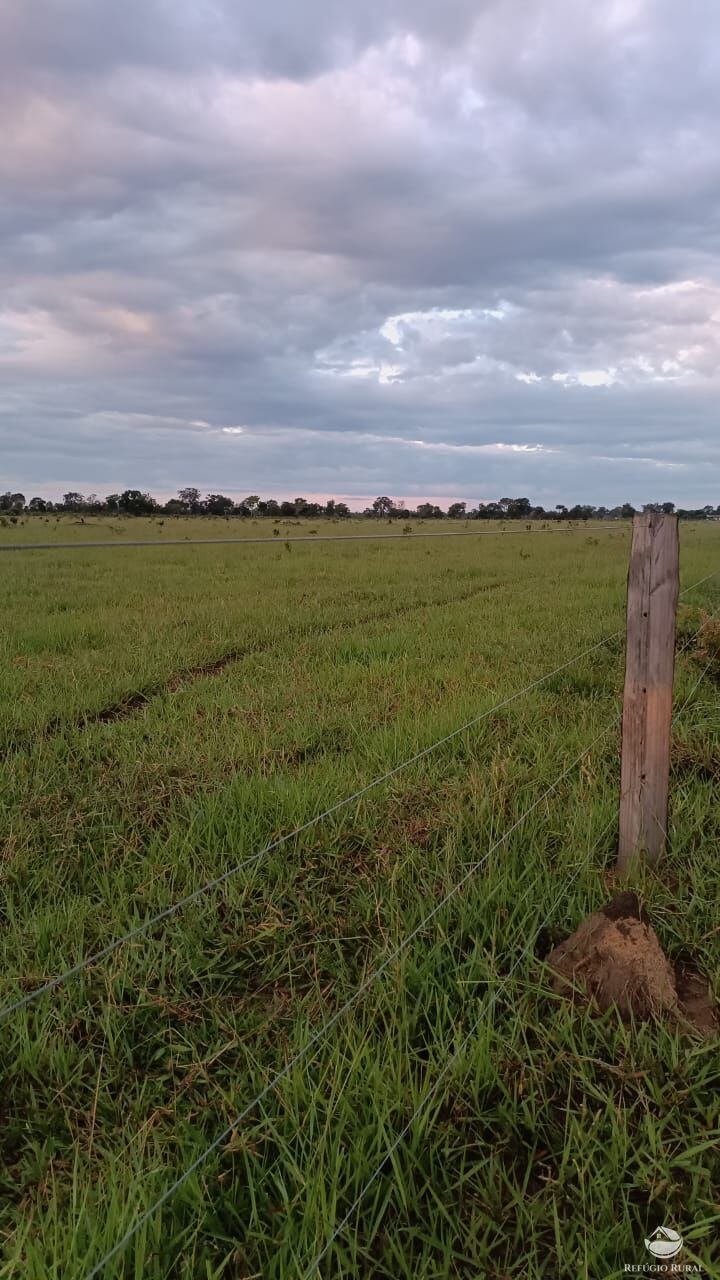 Fazenda à venda com 5 quartos, 50000000m² - Foto 12