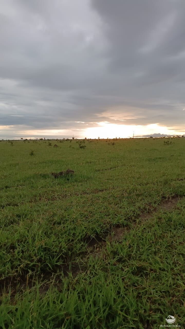 Fazenda à venda com 5 quartos, 50000000m² - Foto 5