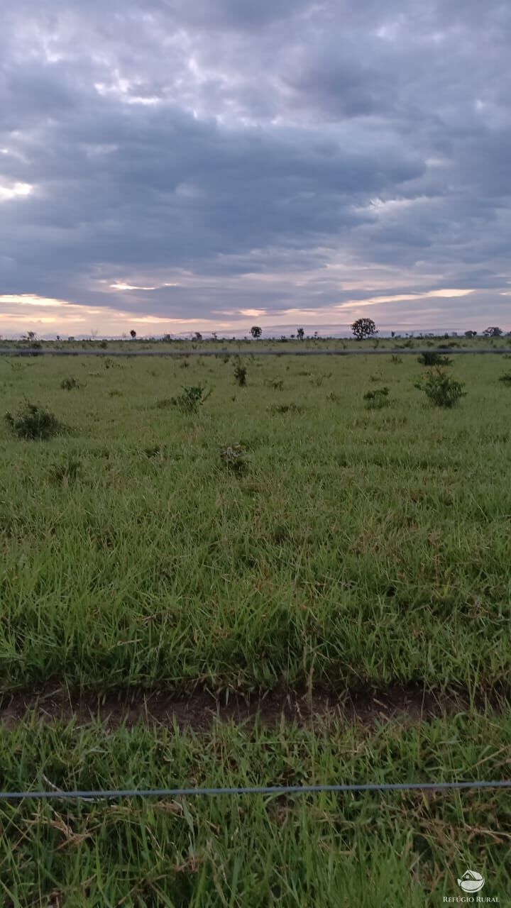 Fazenda à venda com 5 quartos, 50000000m² - Foto 6