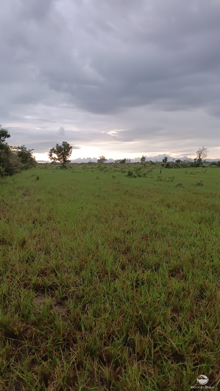 Fazenda à venda com 5 quartos, 50000000m² - Foto 11