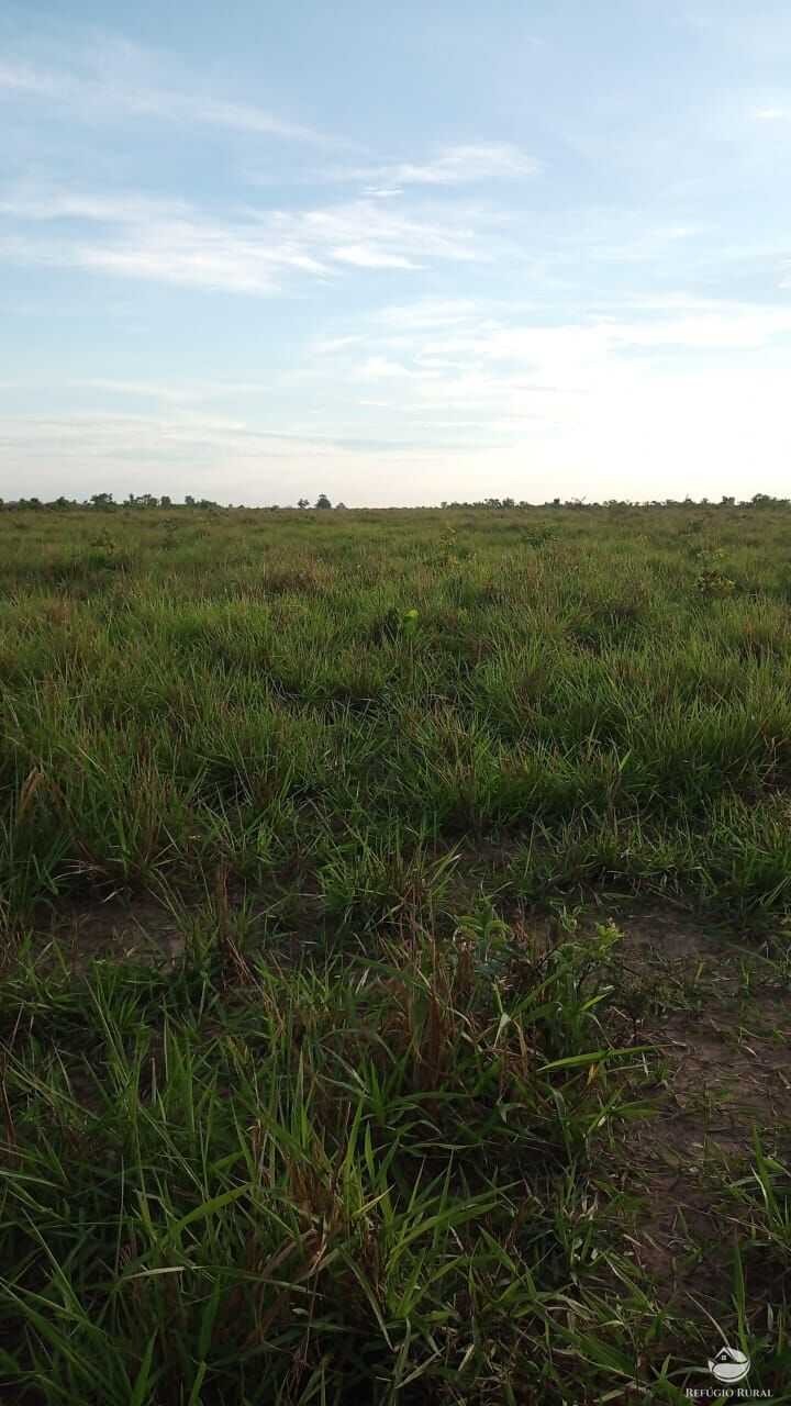 Fazenda à venda com 5 quartos, 50000000m² - Foto 9