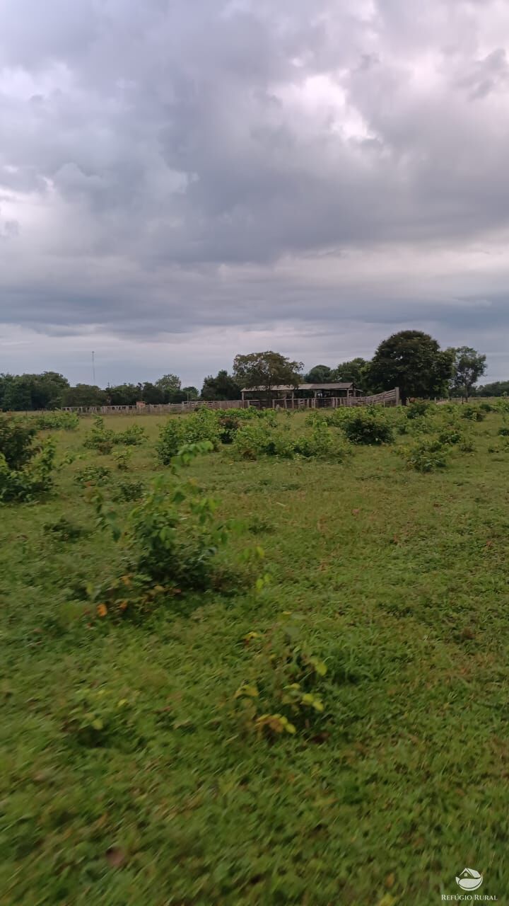 Fazenda à venda com 5 quartos, 50000000m² - Foto 16