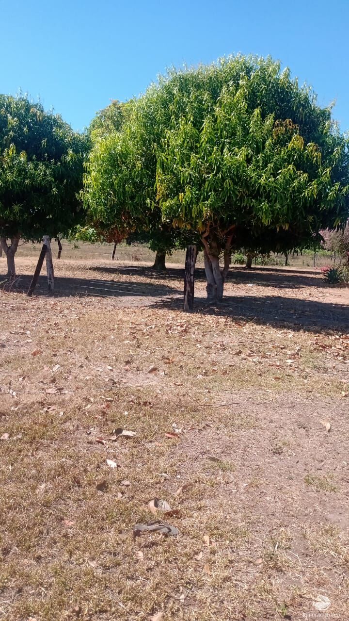 Fazenda à venda com 5 quartos, 50000000m² - Foto 7