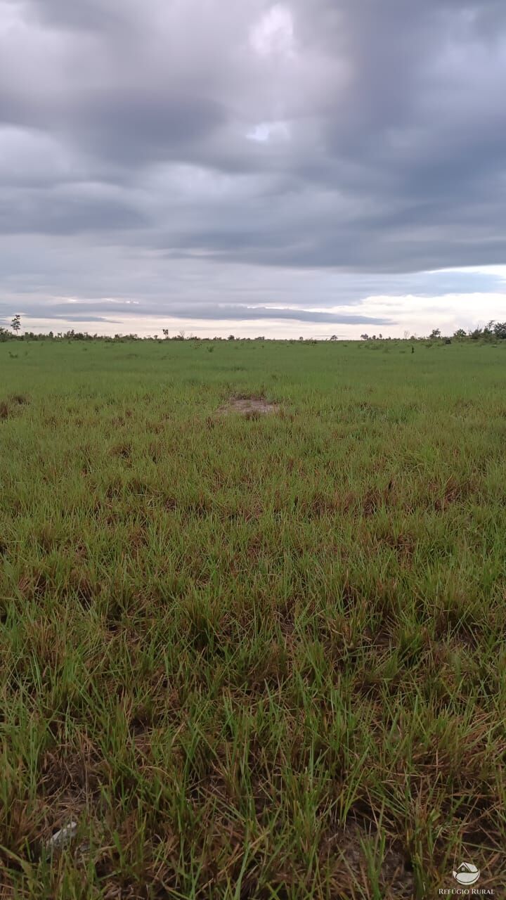 Fazenda à venda com 5 quartos, 50000000m² - Foto 13