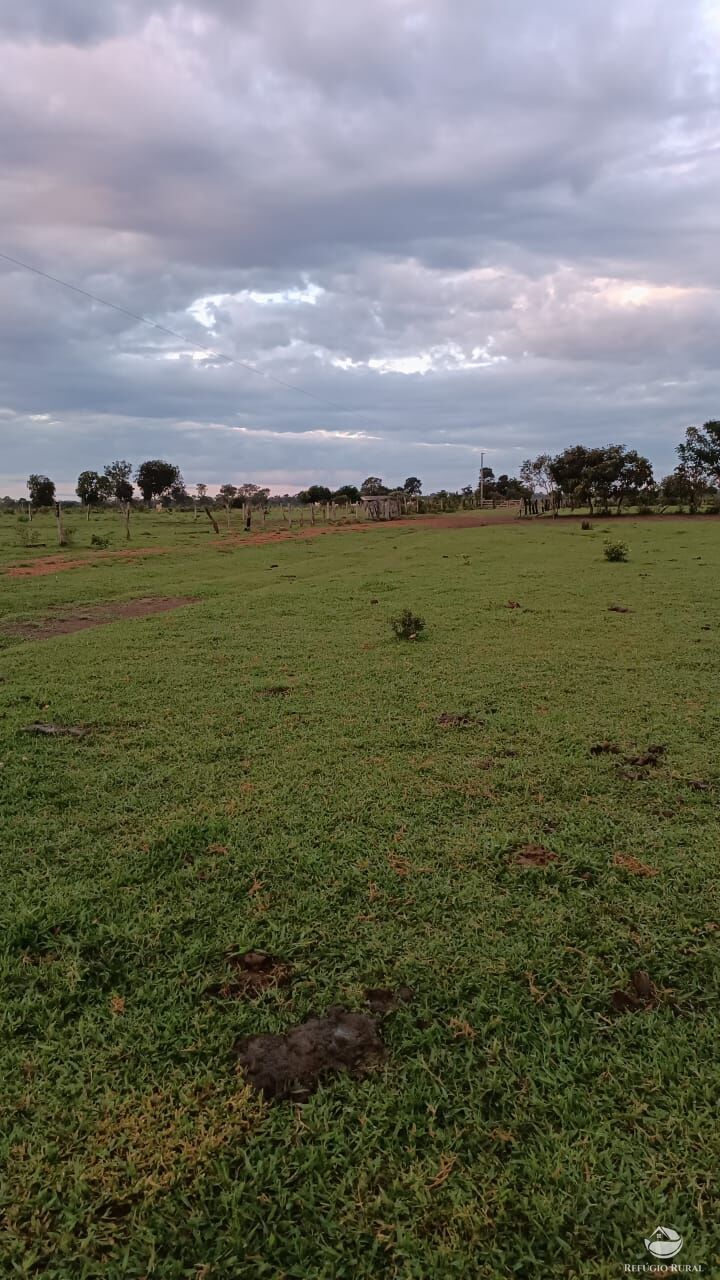 Fazenda à venda com 5 quartos, 50000000m² - Foto 15