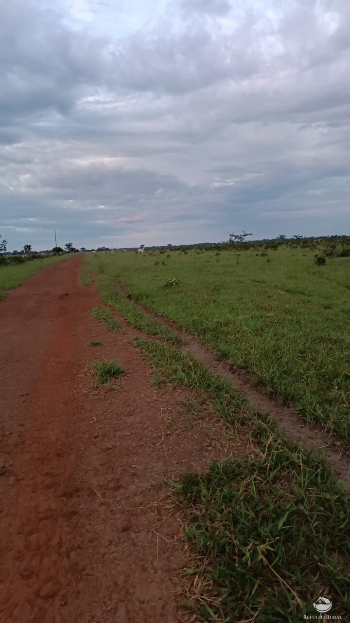 Fazenda à venda com 5 quartos, 50000000m² - Foto 14