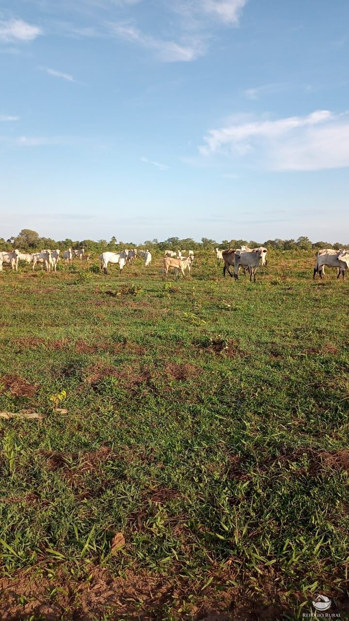 Fazenda à venda com 5 quartos, 50000000m² - Foto 1