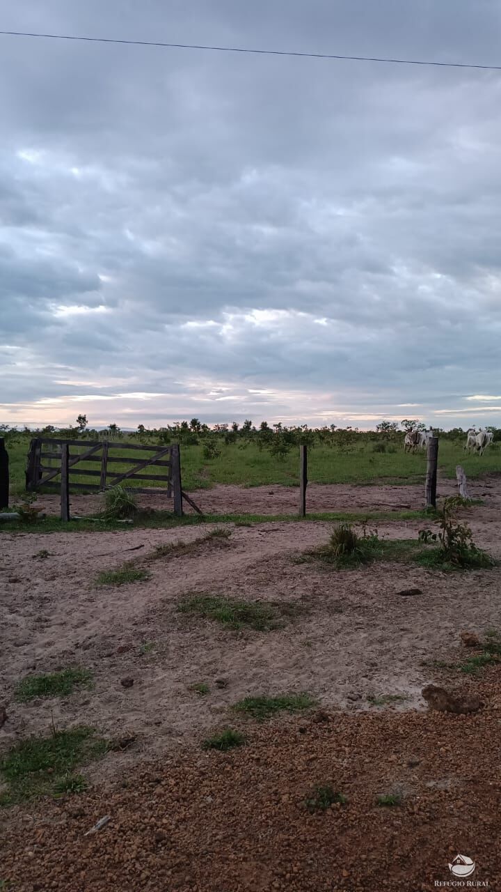 Fazenda à venda com 5 quartos, 50000000m² - Foto 4