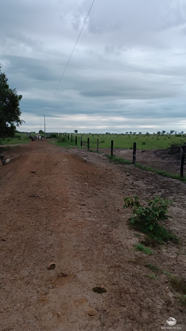 Fazenda à venda com 5 quartos, 50000000m² - Foto 10