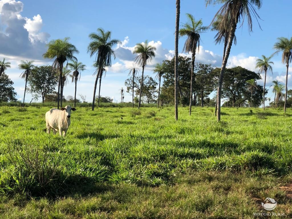 Fazenda à venda com 2 quartos, 25748800m² - Foto 2