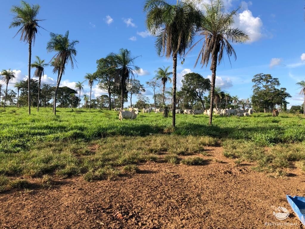 Fazenda à venda com 2 quartos, 25748800m² - Foto 4