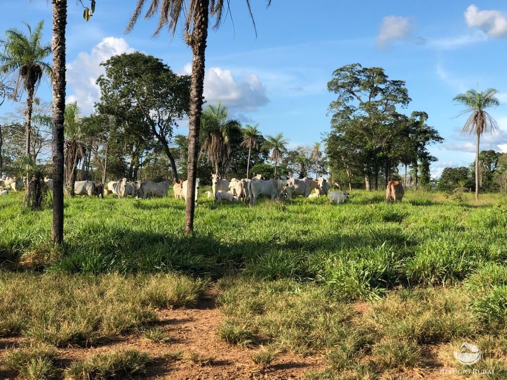 Fazenda à venda com 2 quartos, 25748800m² - Foto 7