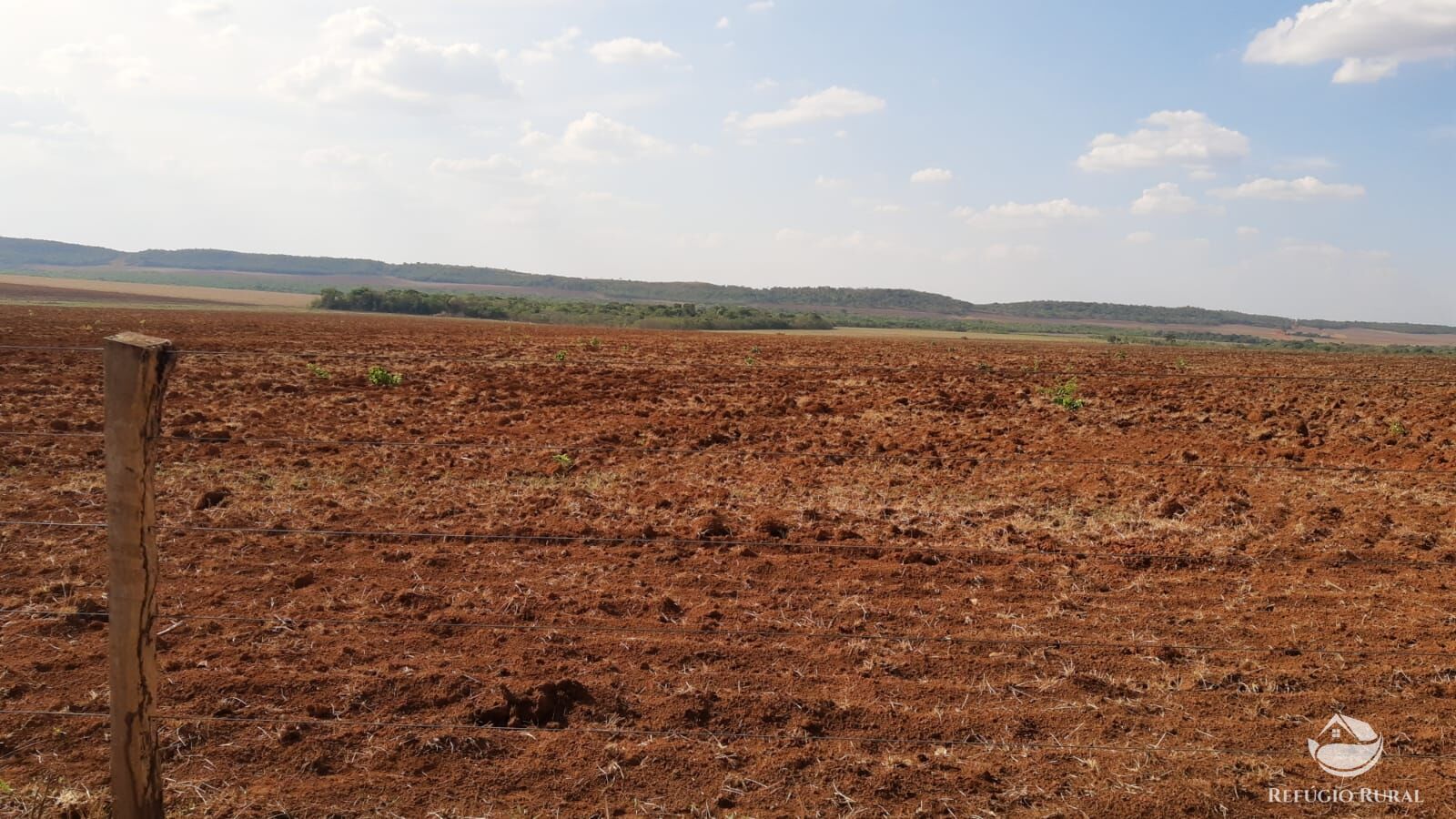 Fazenda, 1034 hectares - Foto 11