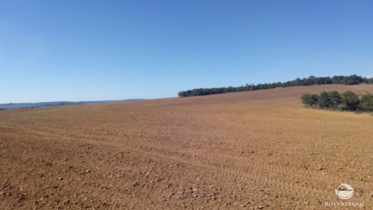 Fazenda, 1034 hectares - Foto 3