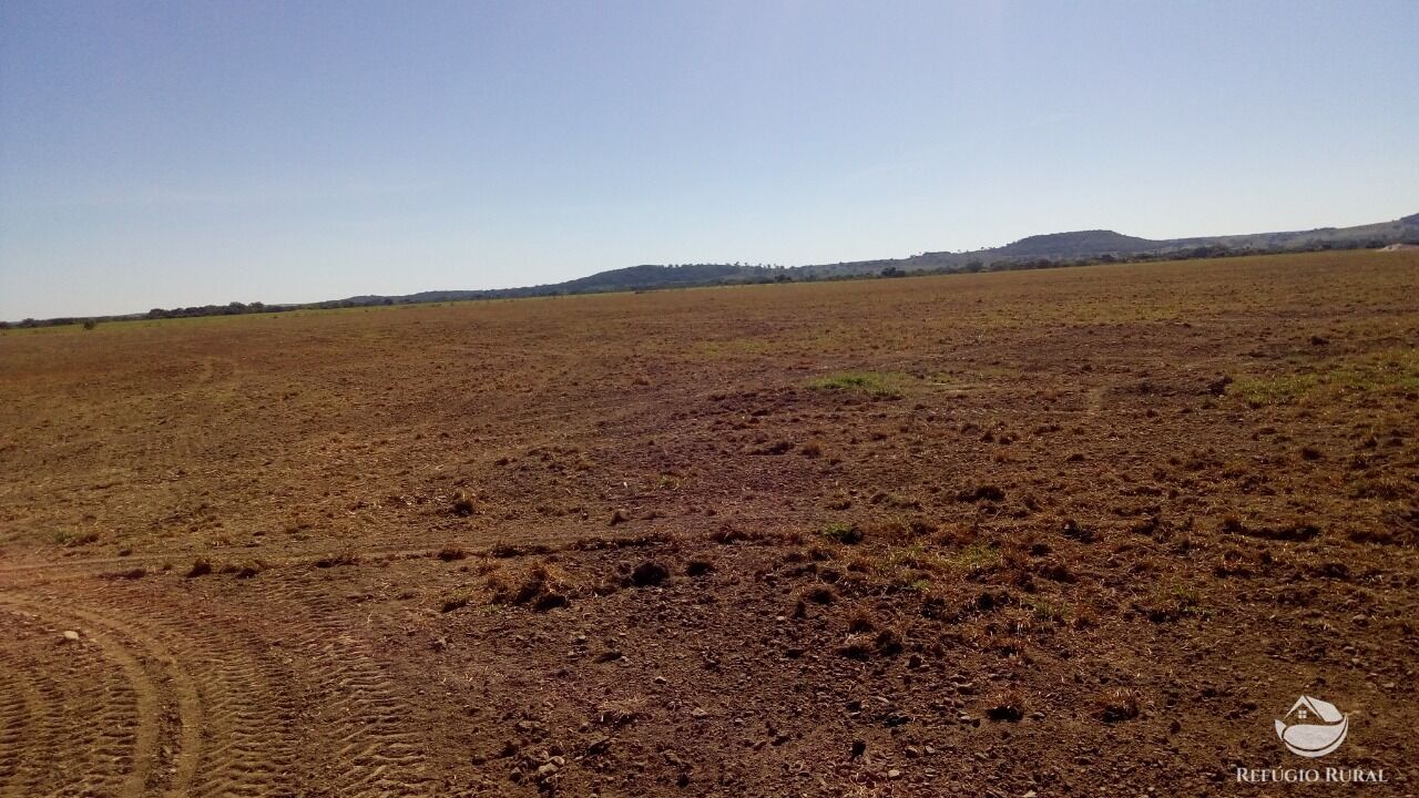 Fazenda, 1034 hectares - Foto 6