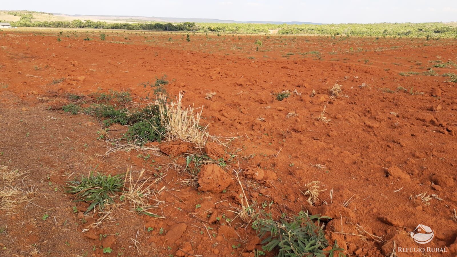 Fazenda, 1034 hectares - Foto 7