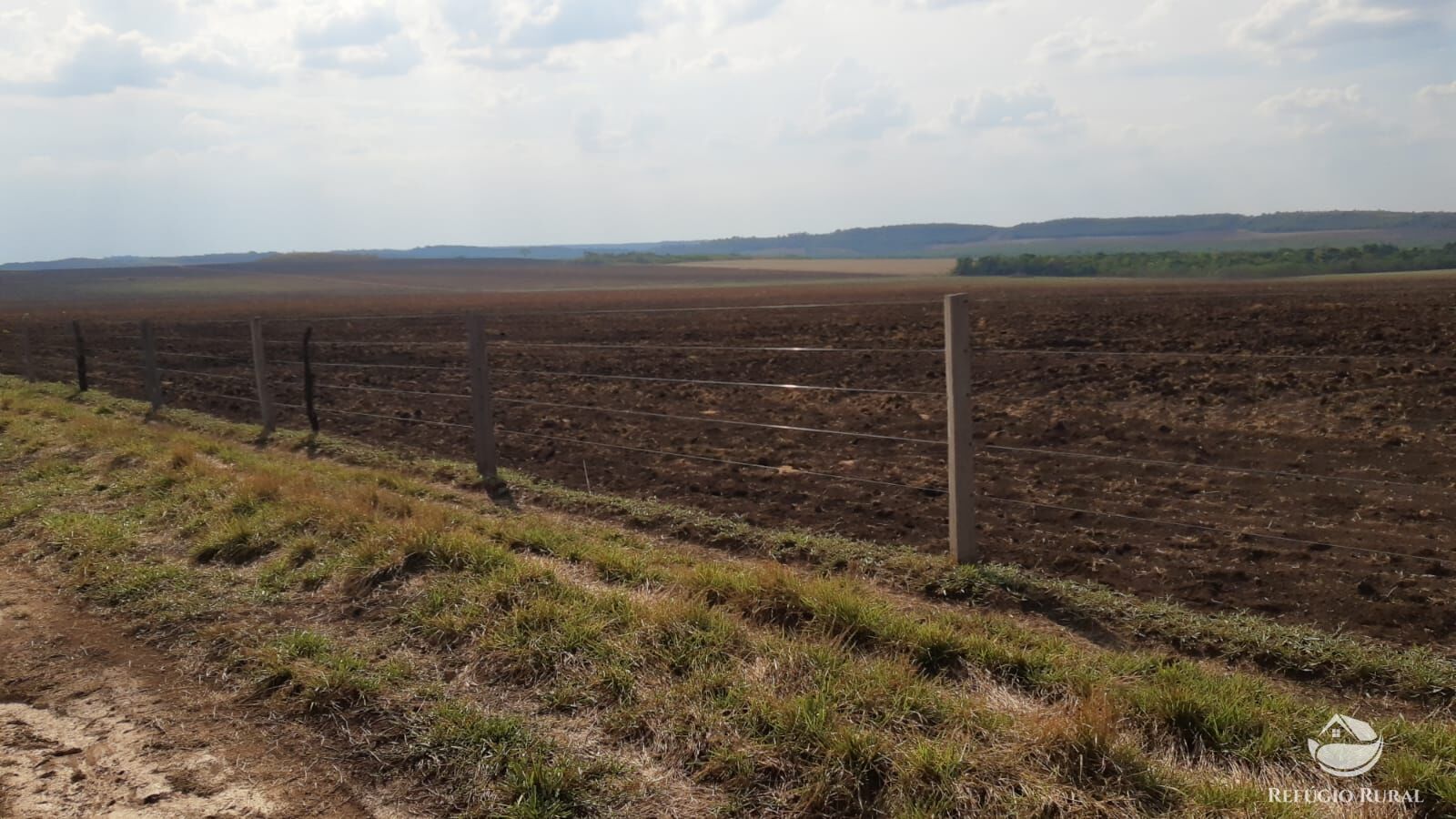 Fazenda, 1034 hectares - Foto 5