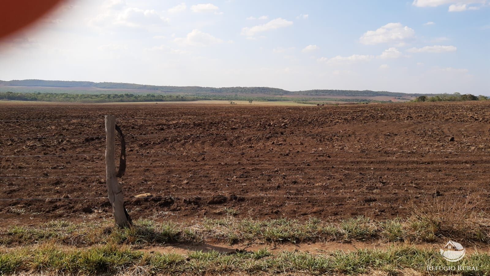 Fazenda, 1034 hectares - Foto 10