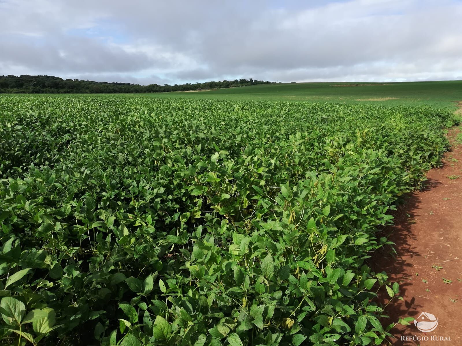 Fazenda, 1034 hectares - Foto 1