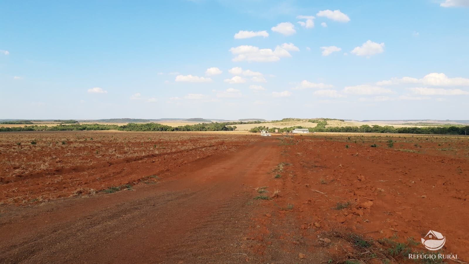 Fazenda, 1034 hectares - Foto 2