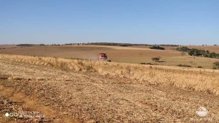 Fazenda à venda com 1 quarto, 19602000m² - Foto 8