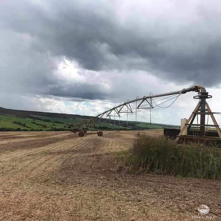 Fazenda à venda com 1 quarto, 19602000m² - Foto 4