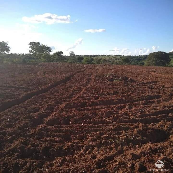 Fazenda à venda com 1 quarto, 19602000m² - Foto 6