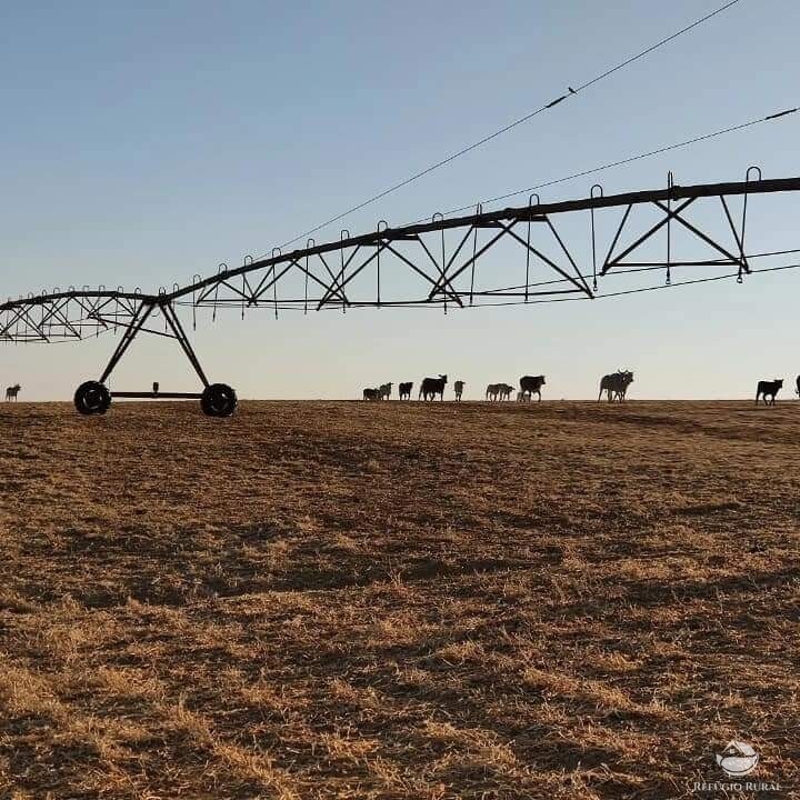 Fazenda à venda com 1 quarto, 19602000m² - Foto 5