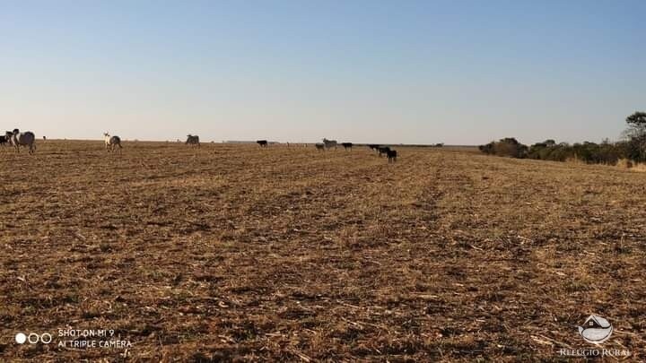 Fazenda à venda com 1 quarto, 19602000m² - Foto 9