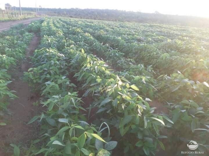 Fazenda à venda com 1 quarto, 19602000m² - Foto 12