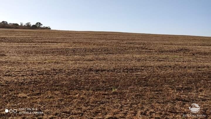 Fazenda à venda com 1 quarto, 19602000m² - Foto 10